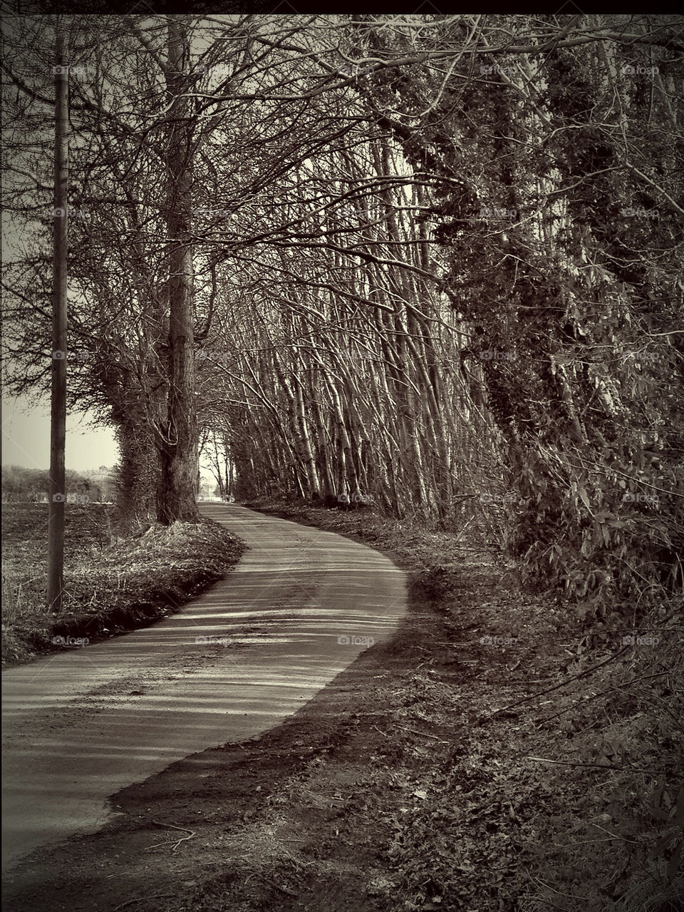 Black and white shot of country road in Kent, England