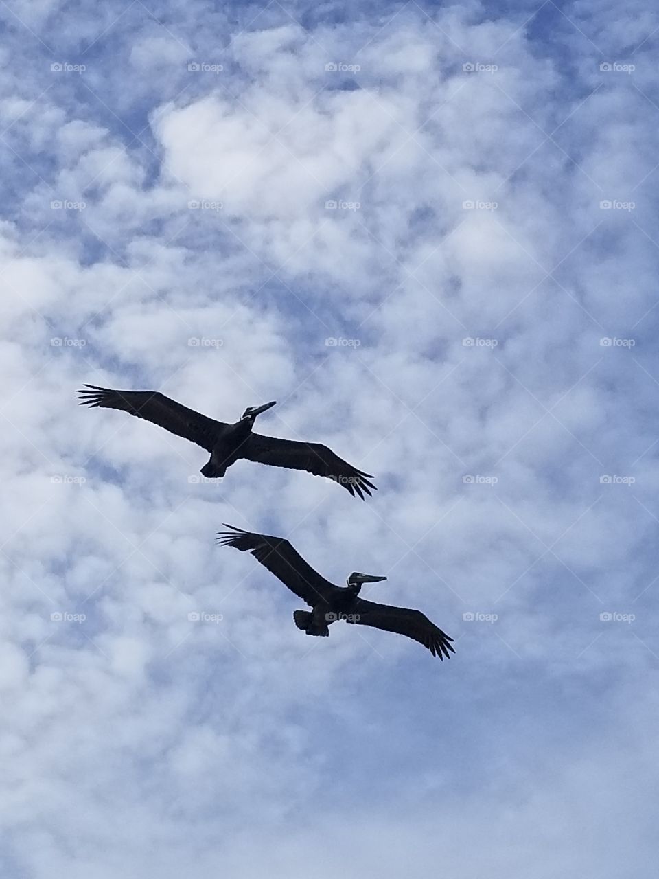 In flight