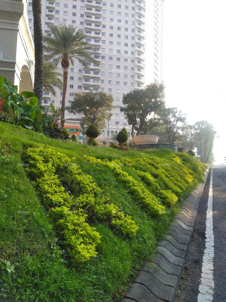 Plant and building in the city