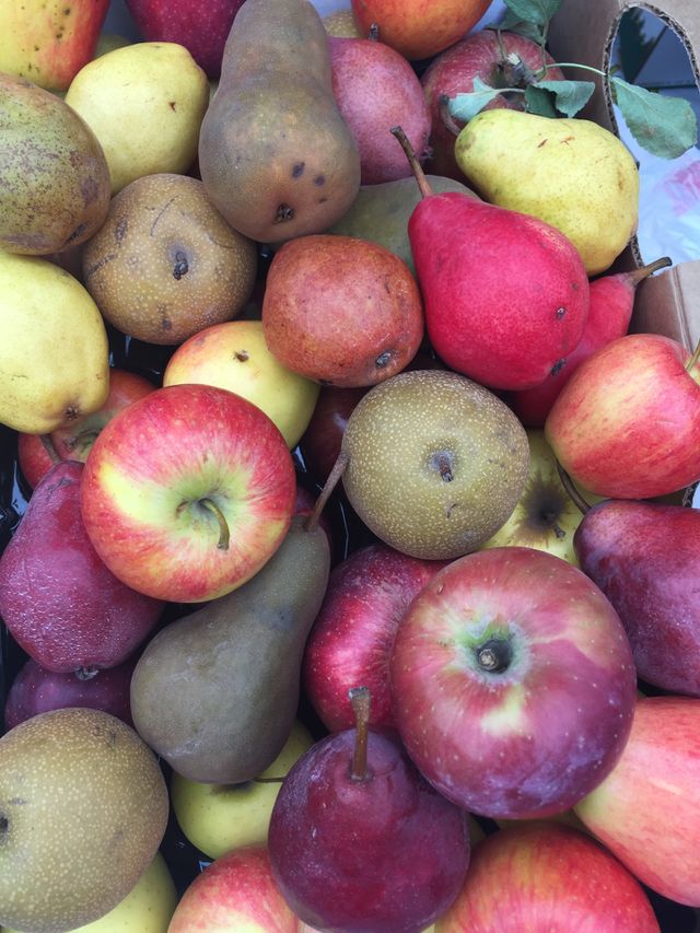 Fruit stand 