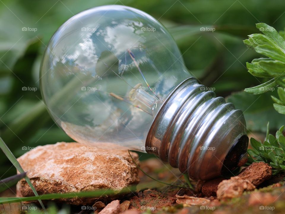 Macro lamp lean on the rock