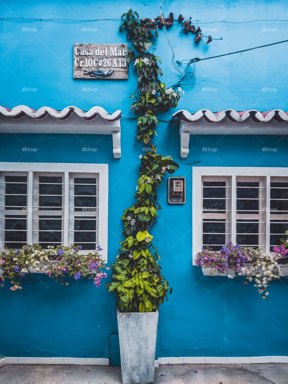 Blue wall with white windows