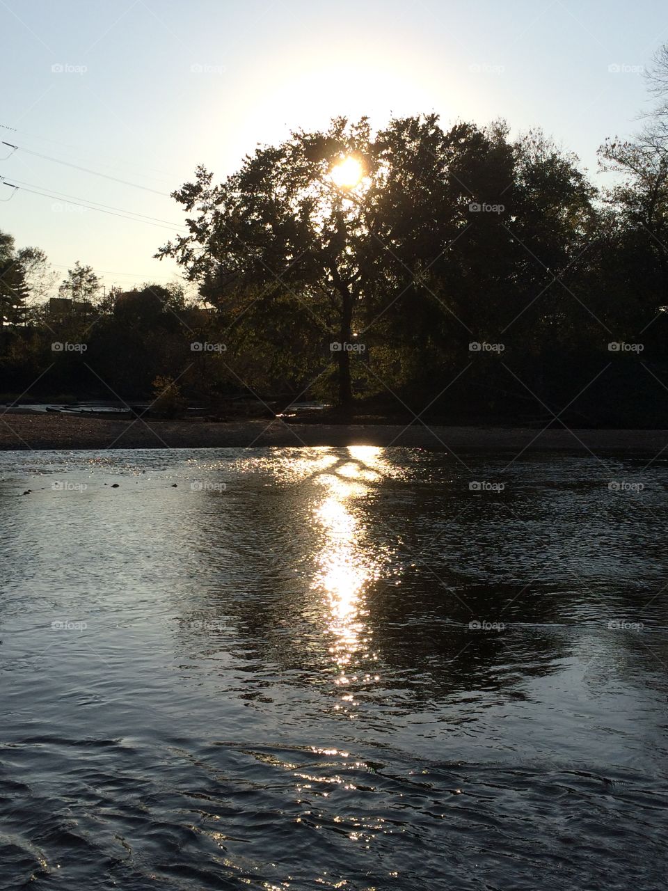 River Reflection