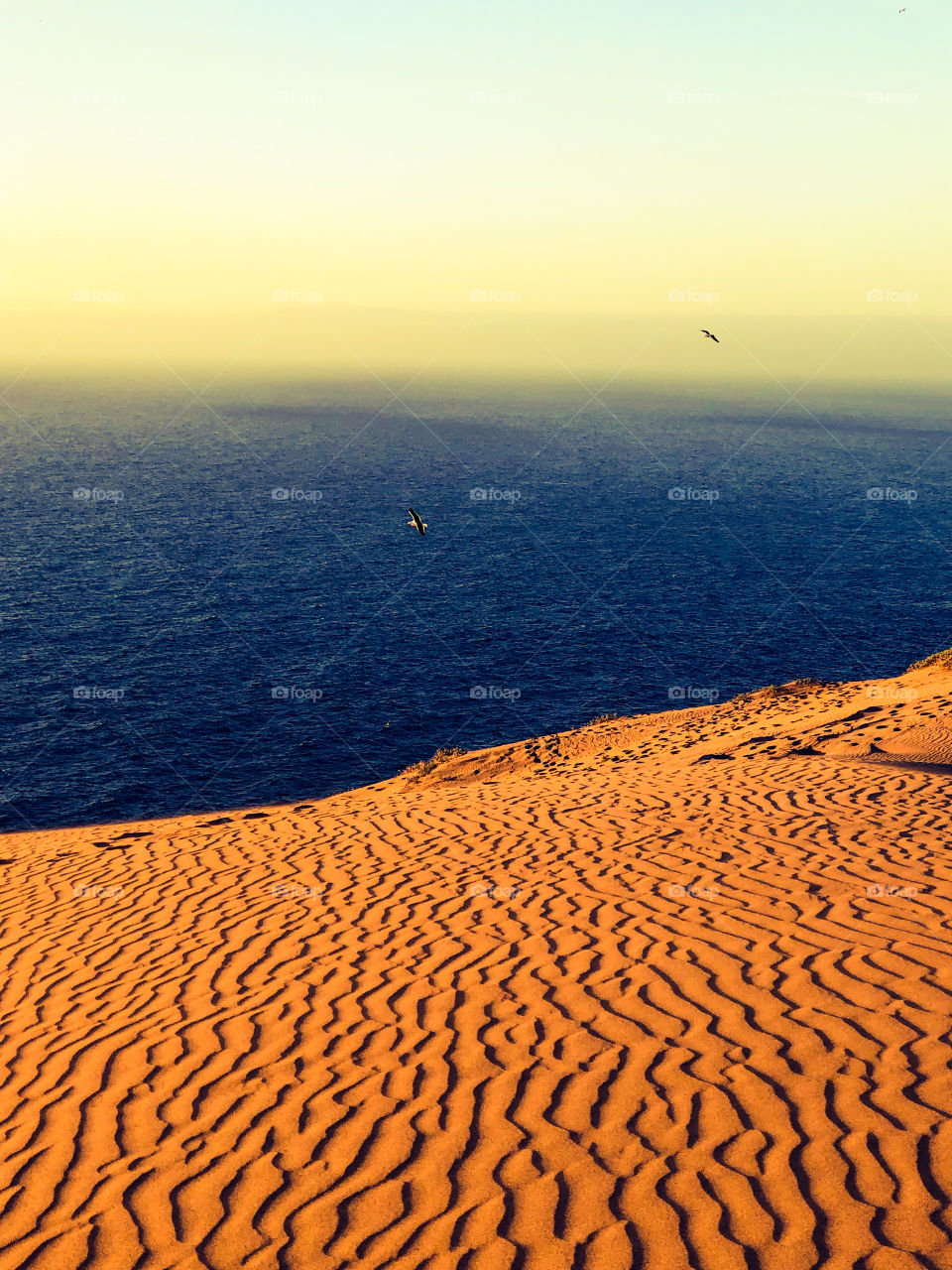 Beautiful view of the ocean from the dune sand