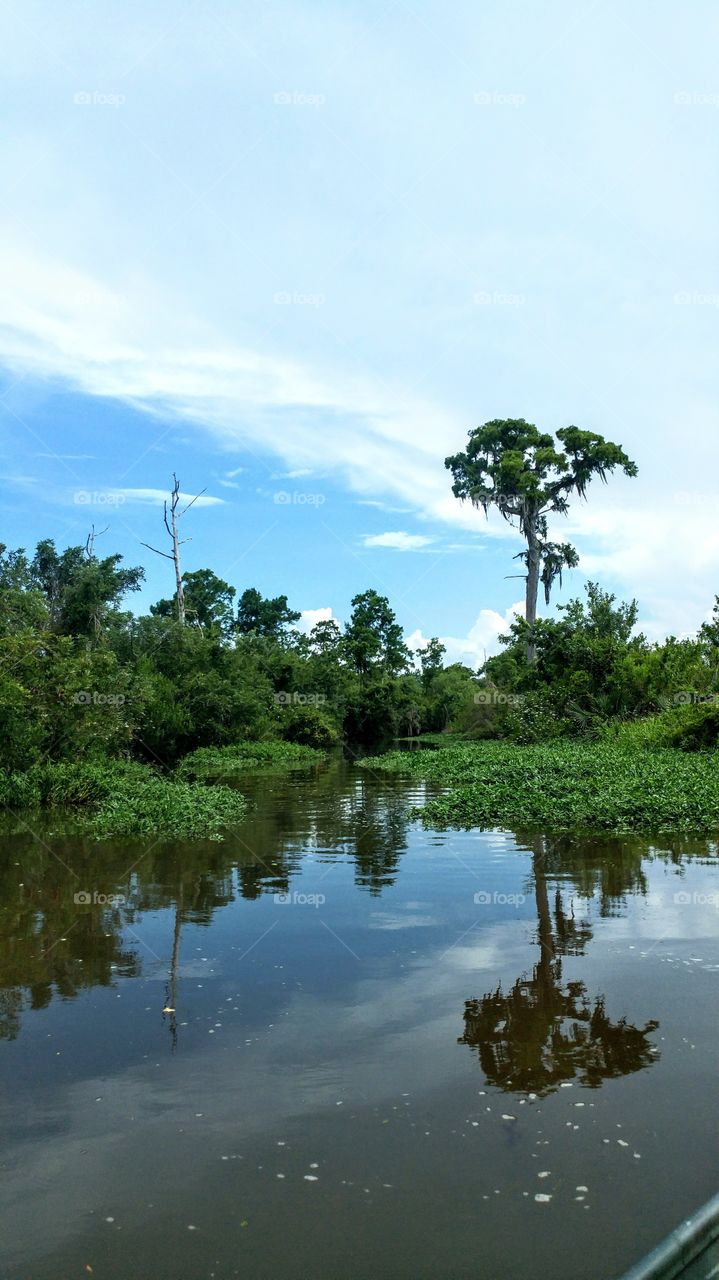 Bogua Homa Bayou