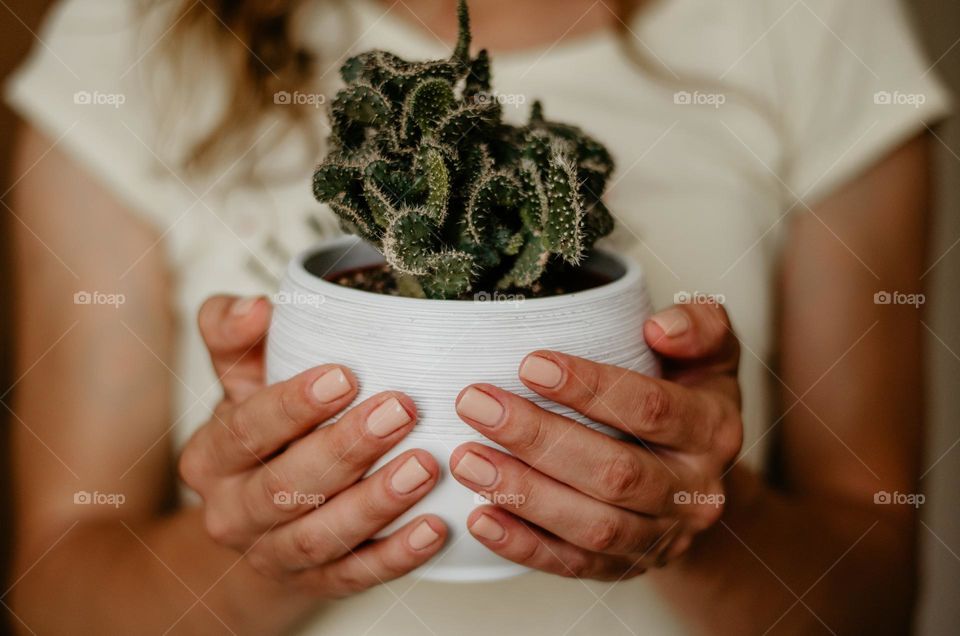 Hands with neutral painted nails holding a cactus