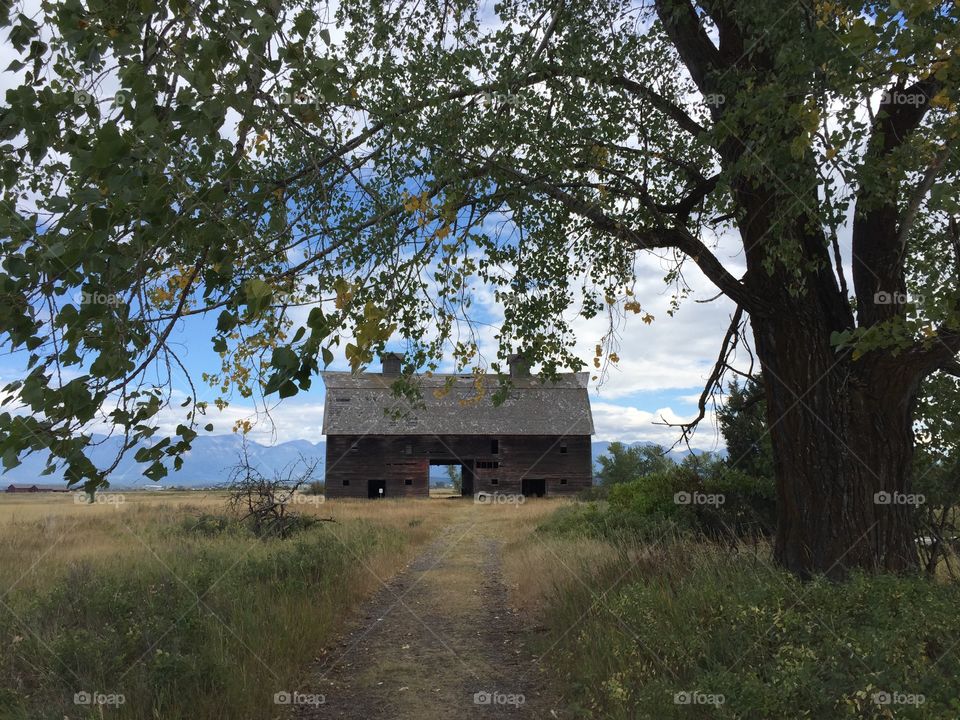 Old Barn in Somersault, MT