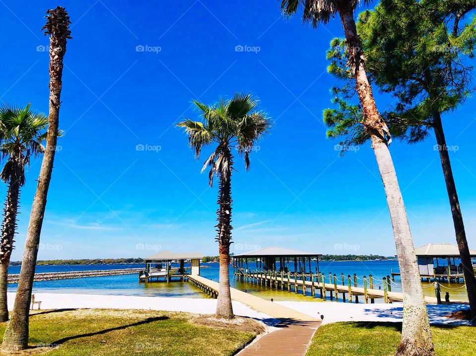 Tall palm trees in foreground with boardwalk and pier in blue water under a blue sky