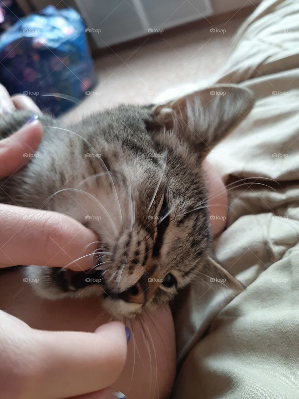 Не  кусай  мой  палец!