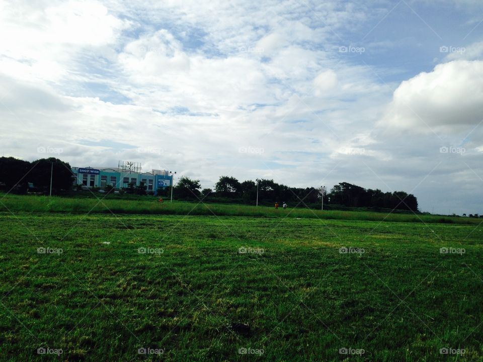Landscape, Grass, No Person, Field, Agriculture