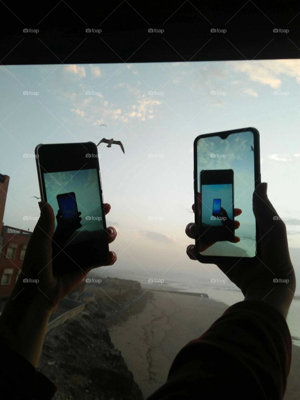 Two smartphones capting the sea and seagull bird.