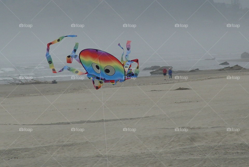 kite at the coast