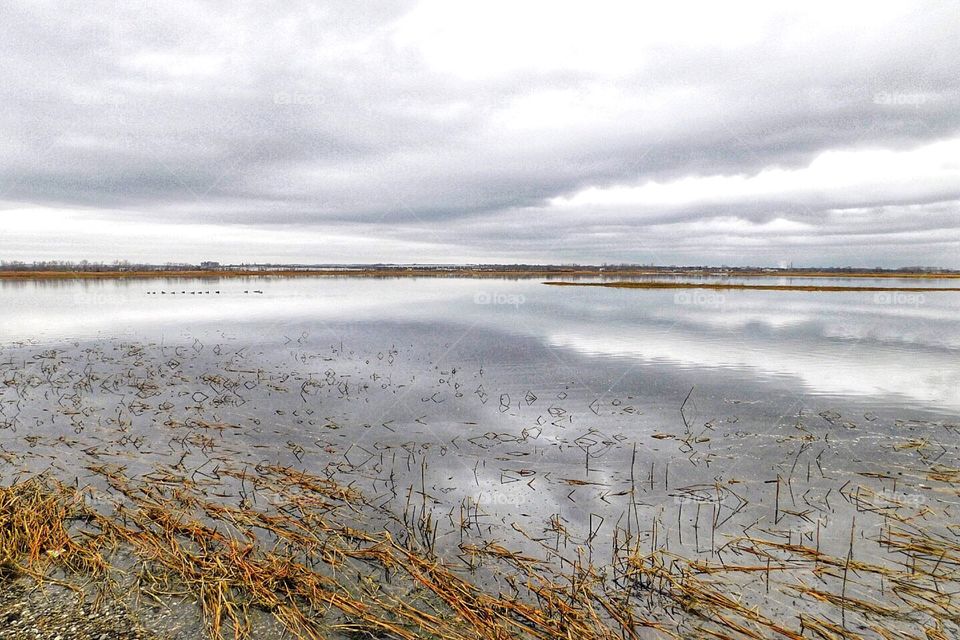 Great Meadow Marsh