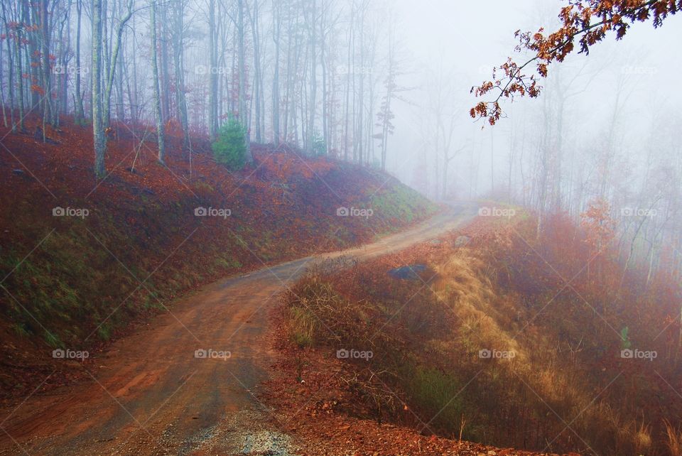 Mountain trail in the fog