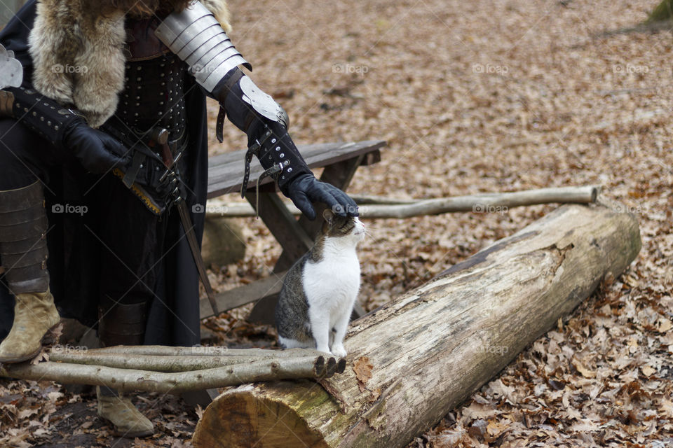 Men in armor and cat