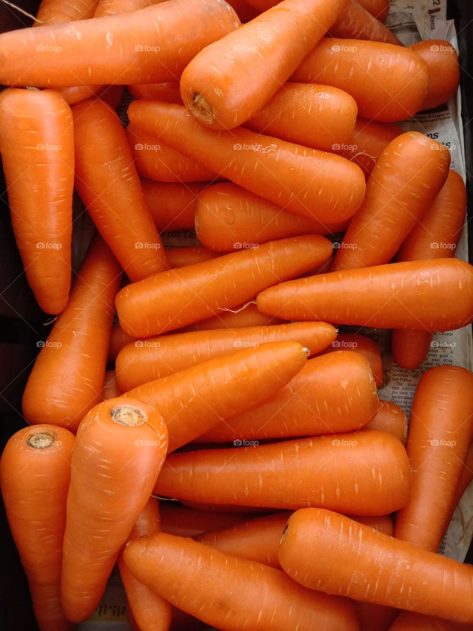 Fresh carrots