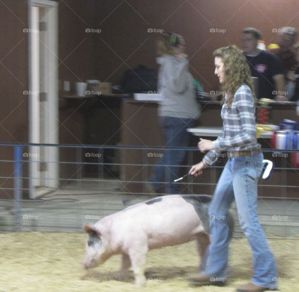 Pushing Bacon around at the hog show. 