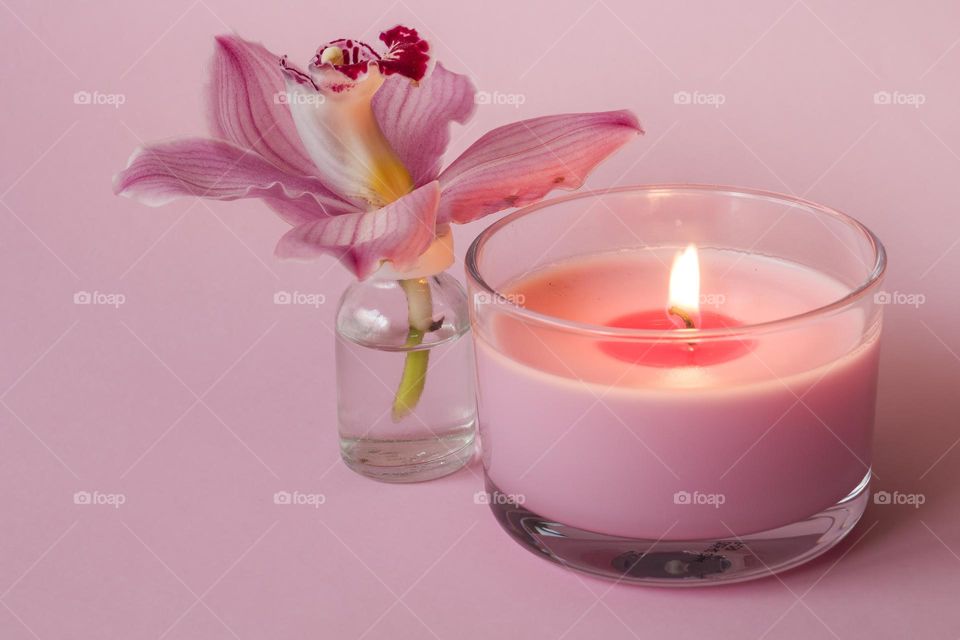 Pink orchid flower and pink candle on pink background