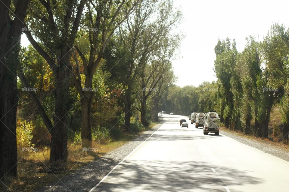 Cars driving on a country road