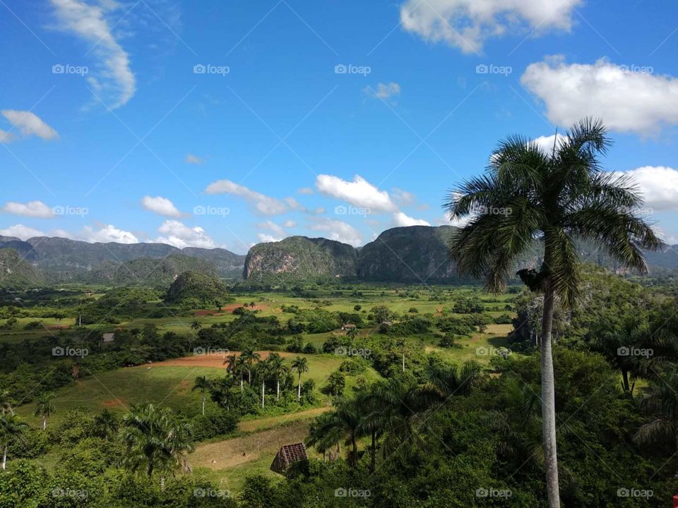 Vinales. Cuba.