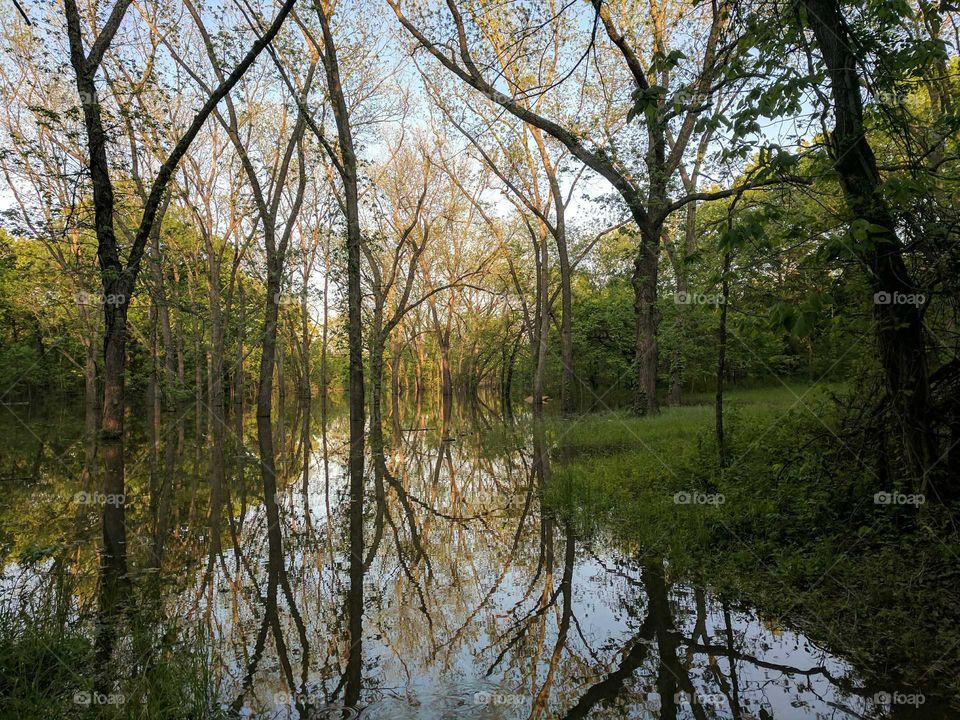 Autumn rain reflections