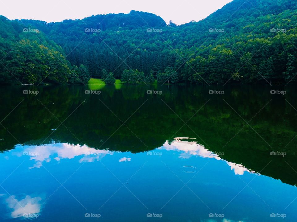 Lake reflection 