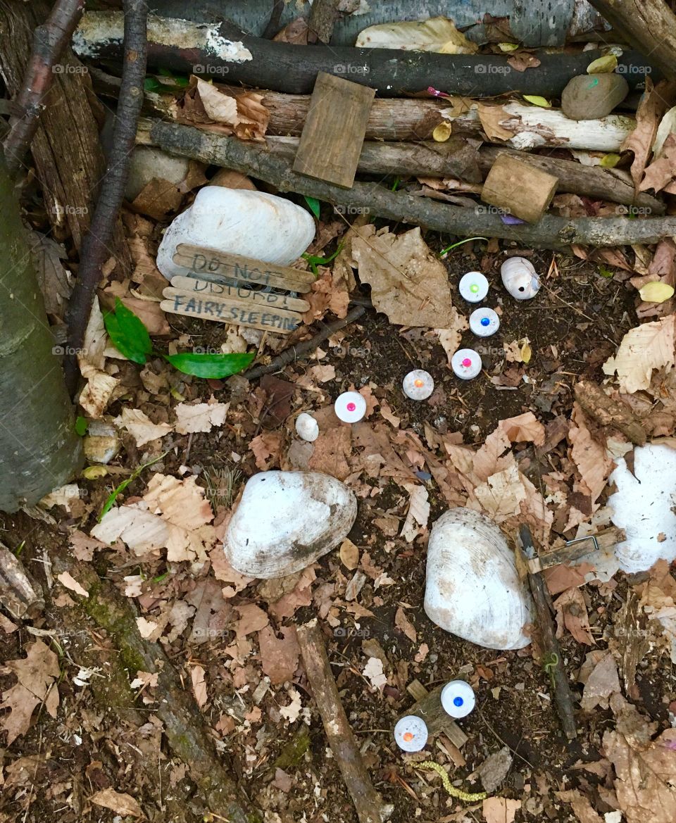 Forest Fairy Trail