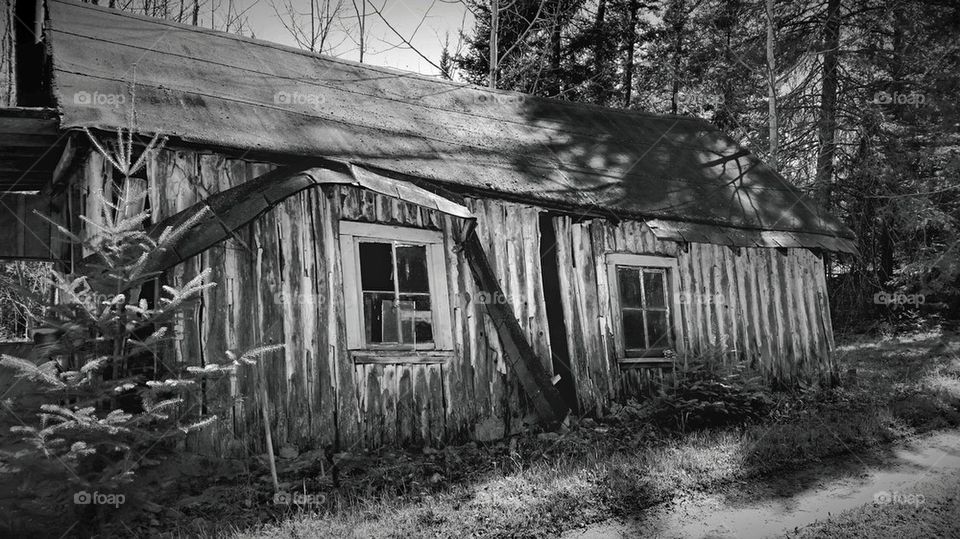 Old hunting cabin