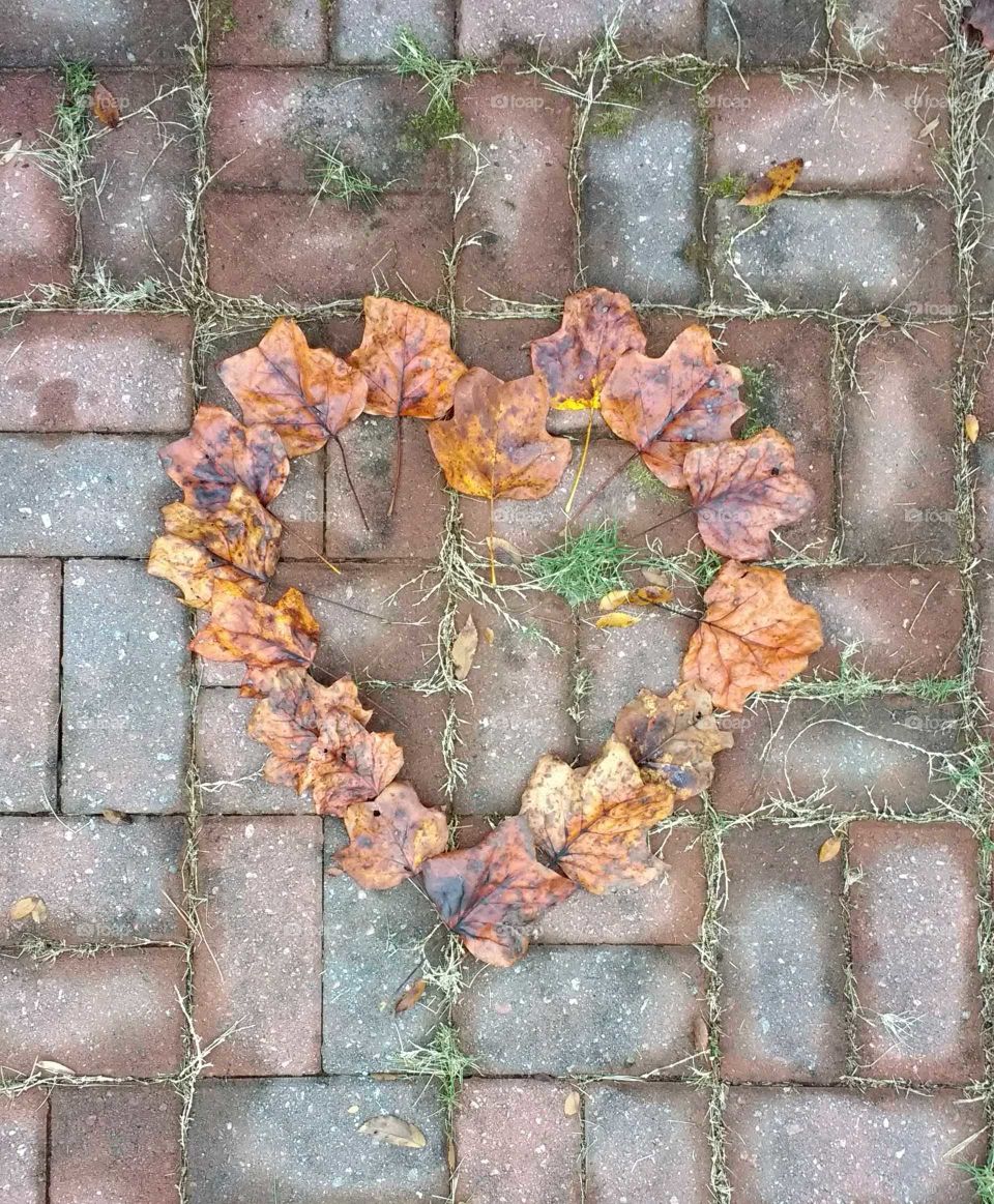 Fall leaves in the shape of a heart on brick background