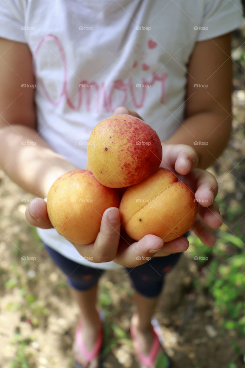 fresh from the tree