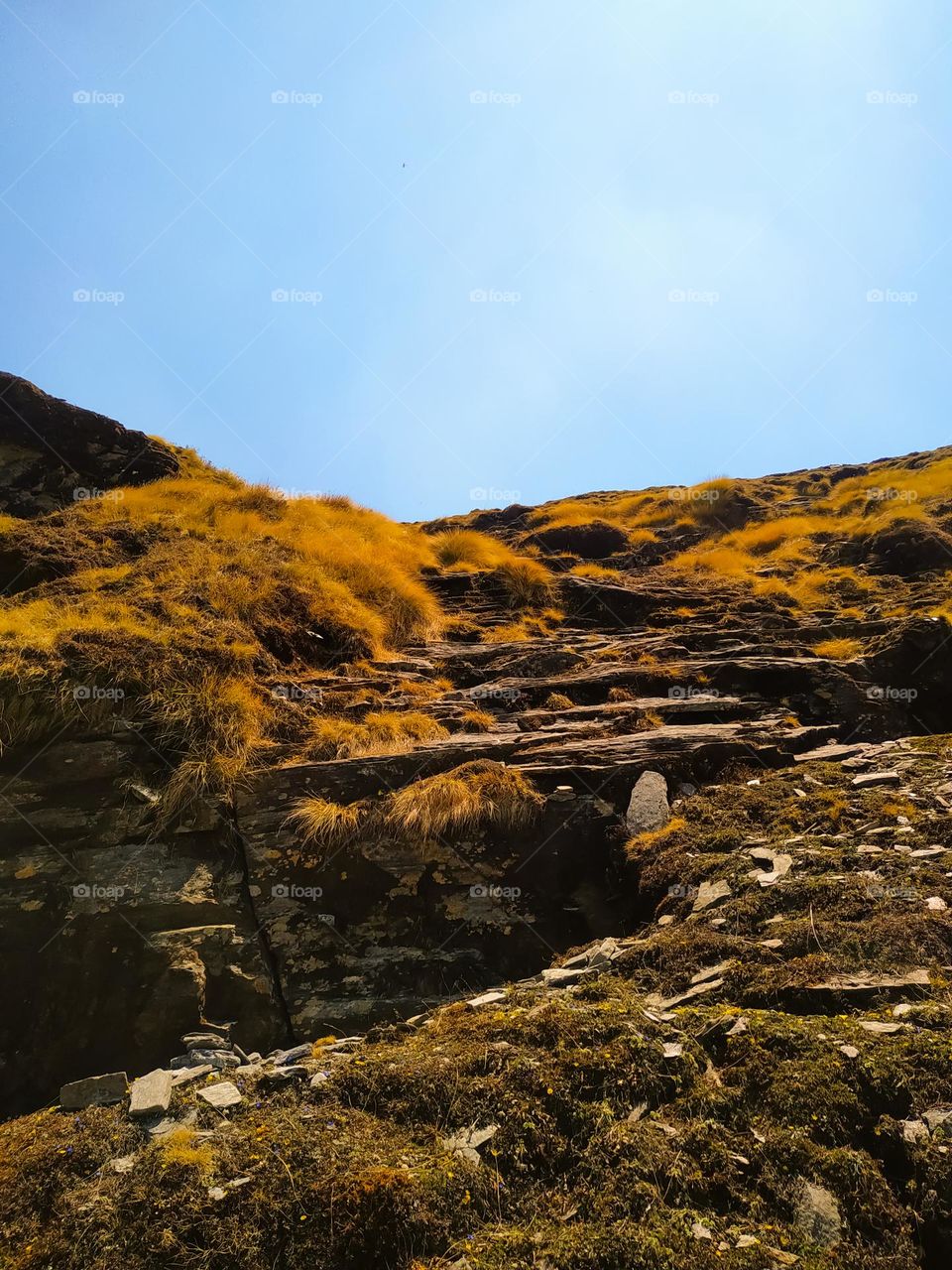 A amazing view of landscape in the morning