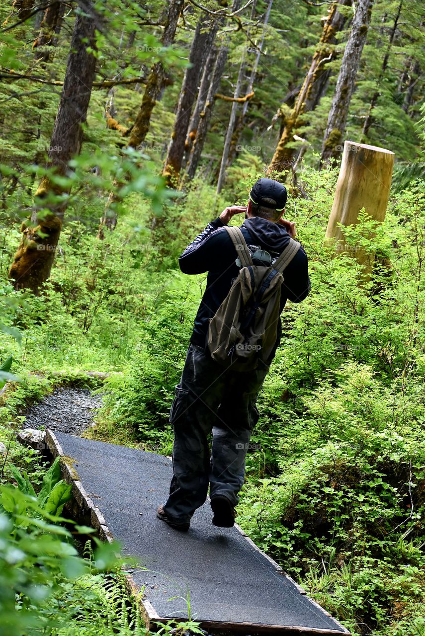 hiking the Tongass Rainforest in Alaska