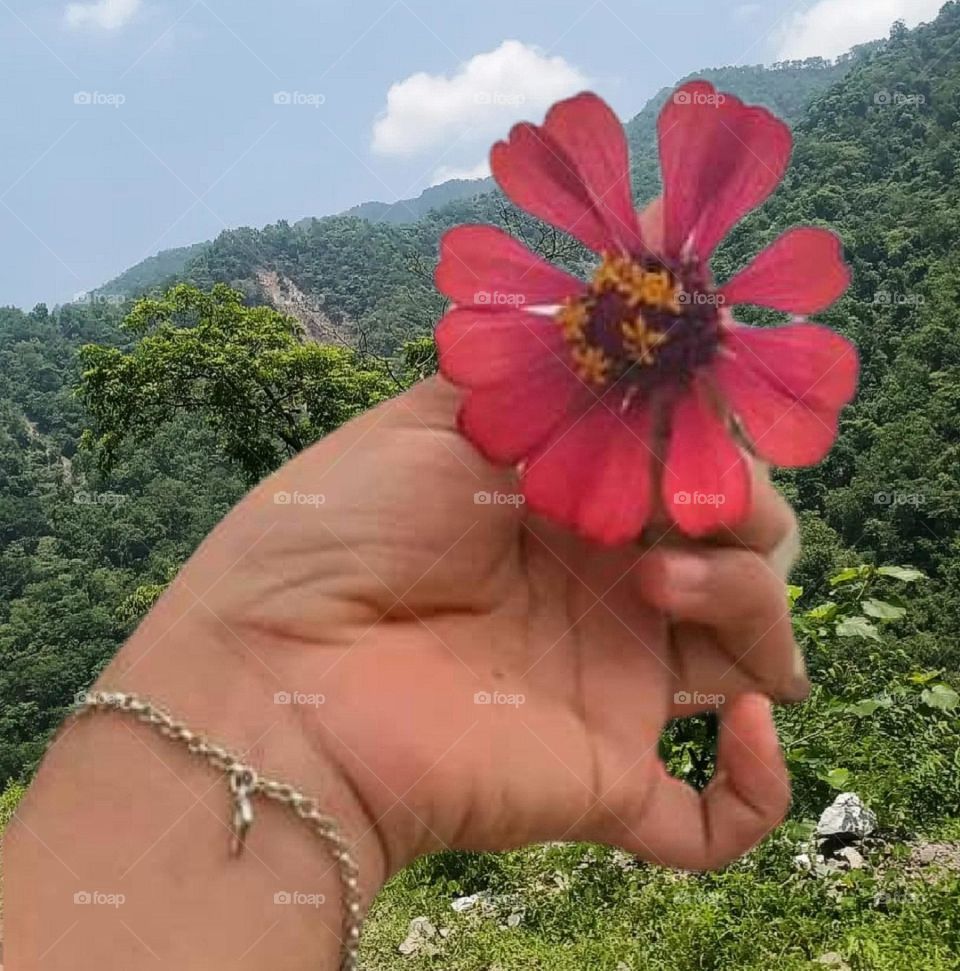 A most beautiful and attractive view.