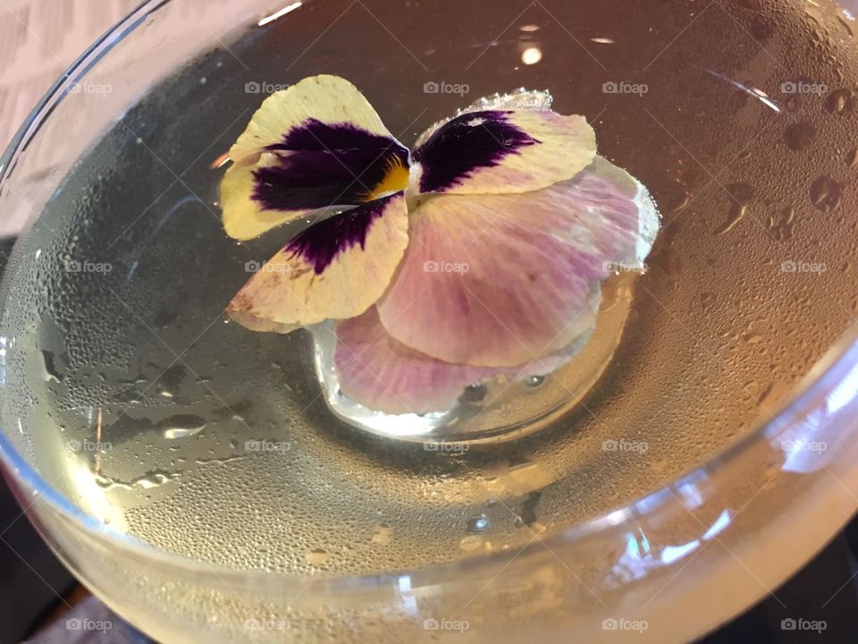 Beautiful yellow drink with flower 🌸