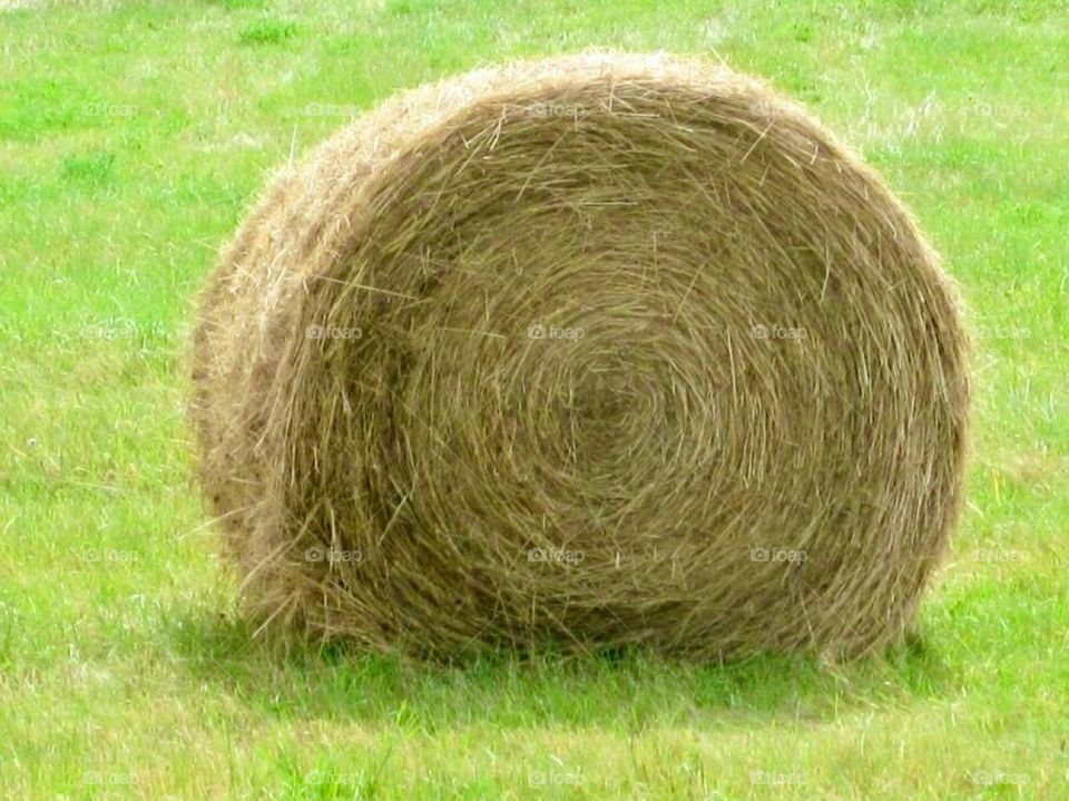Hay bale
