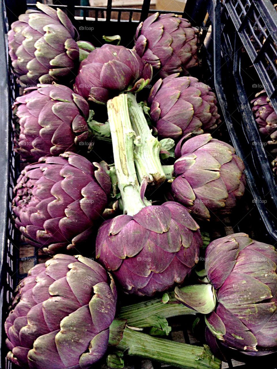 Purple Artichokes