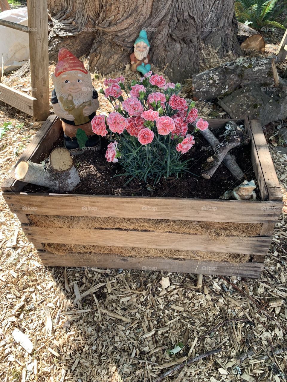 Made this planter box this year