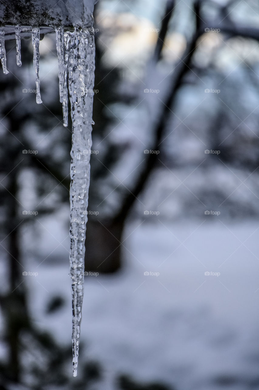 icicle 
