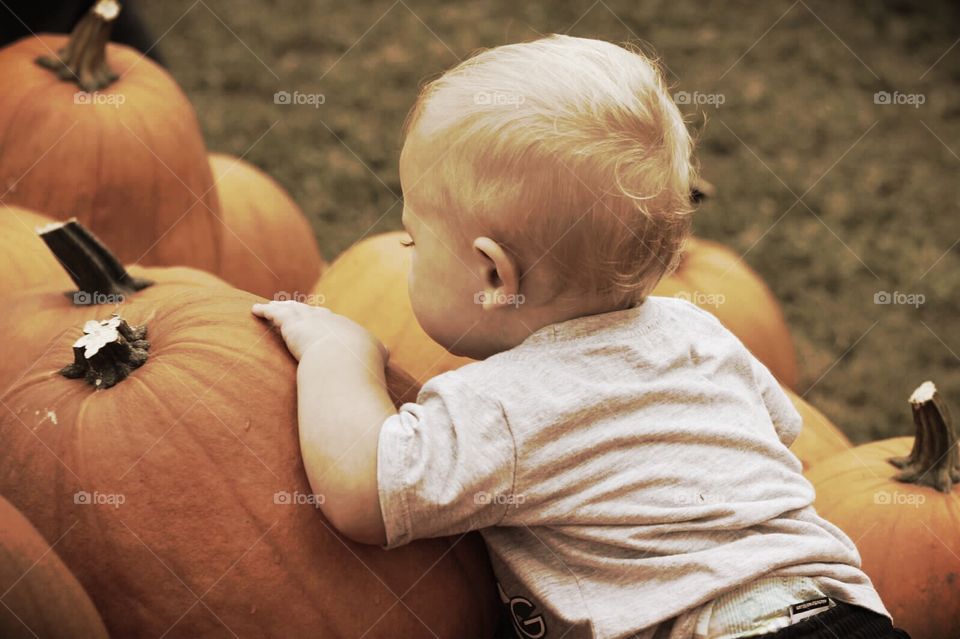 Little Pumpkin. Baby boy leaning on a stack of pumpkins. 