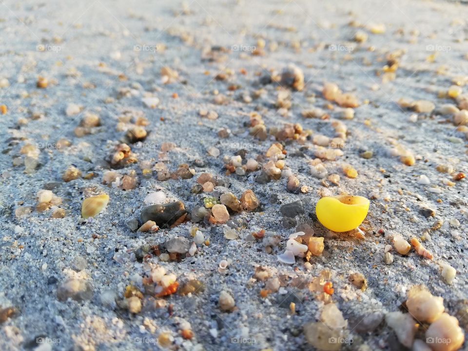 Sable et coquillage
