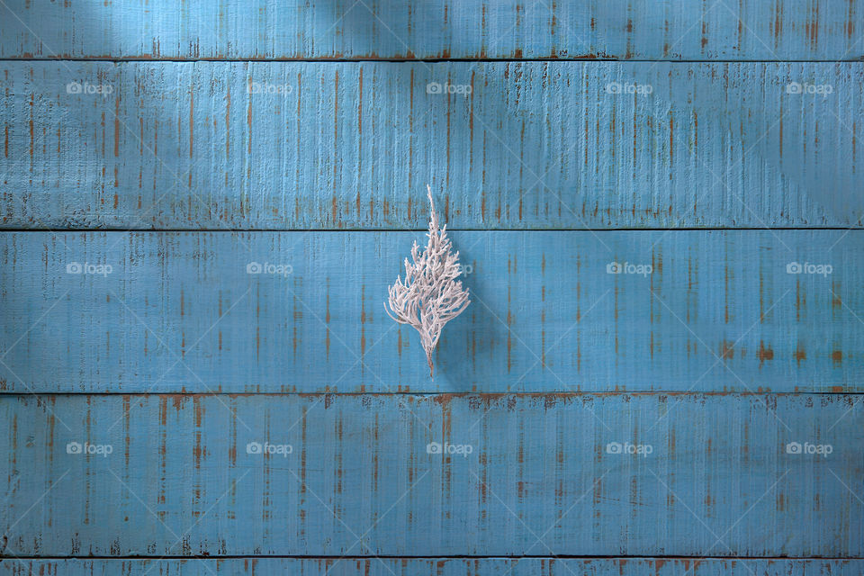 white painted pine branch on blue rustic wood base, minimalist, simple, single, christmas,