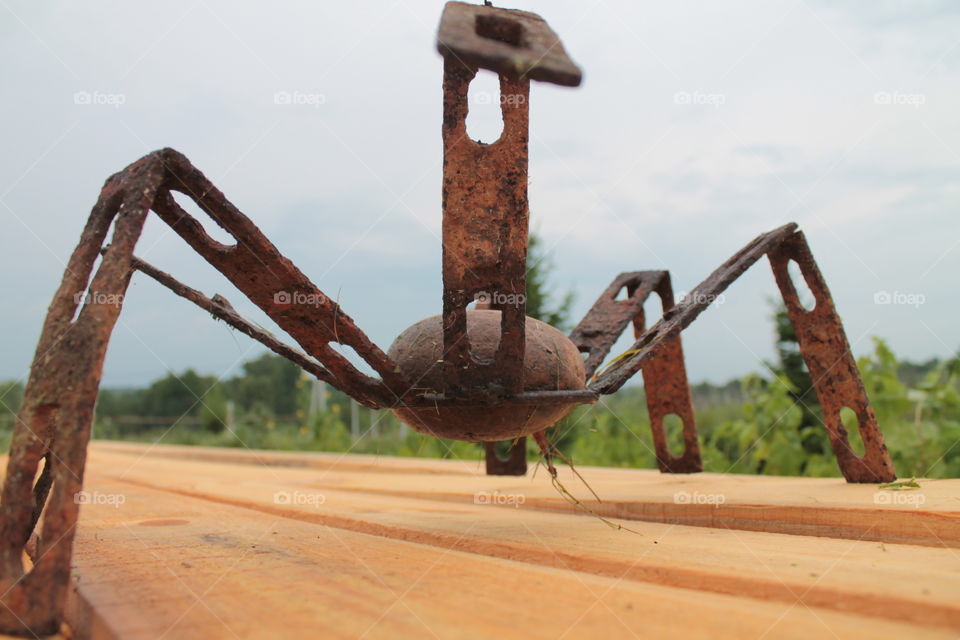 Iron spider, i made it last summer. He stay on my gsrden