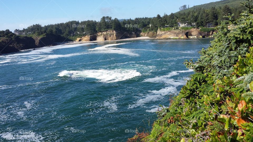 Whale Cove Beach Oregon