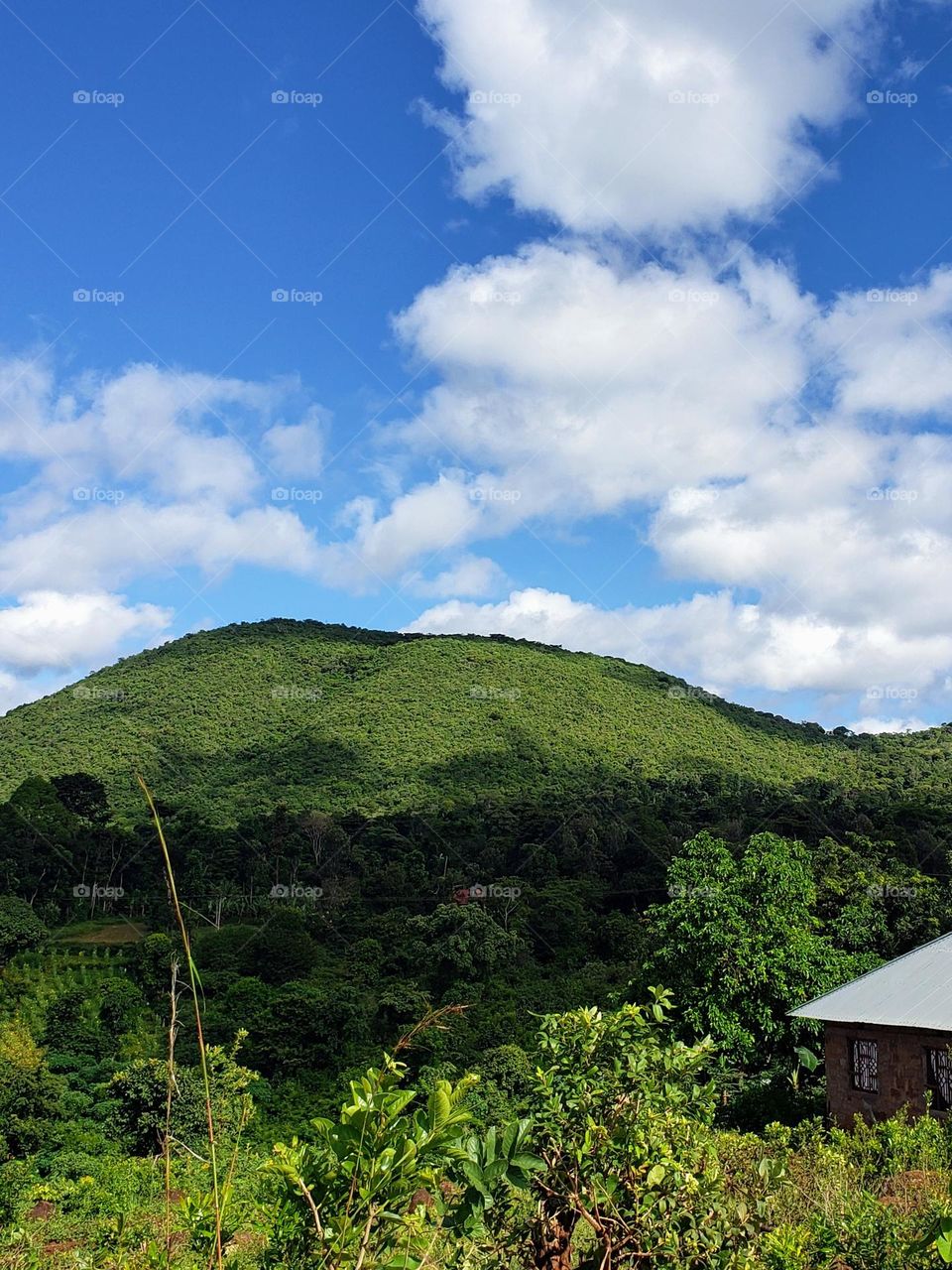 Sowoko Hill is found in Moshi Tanzania.

June 07, 2023
09:31am