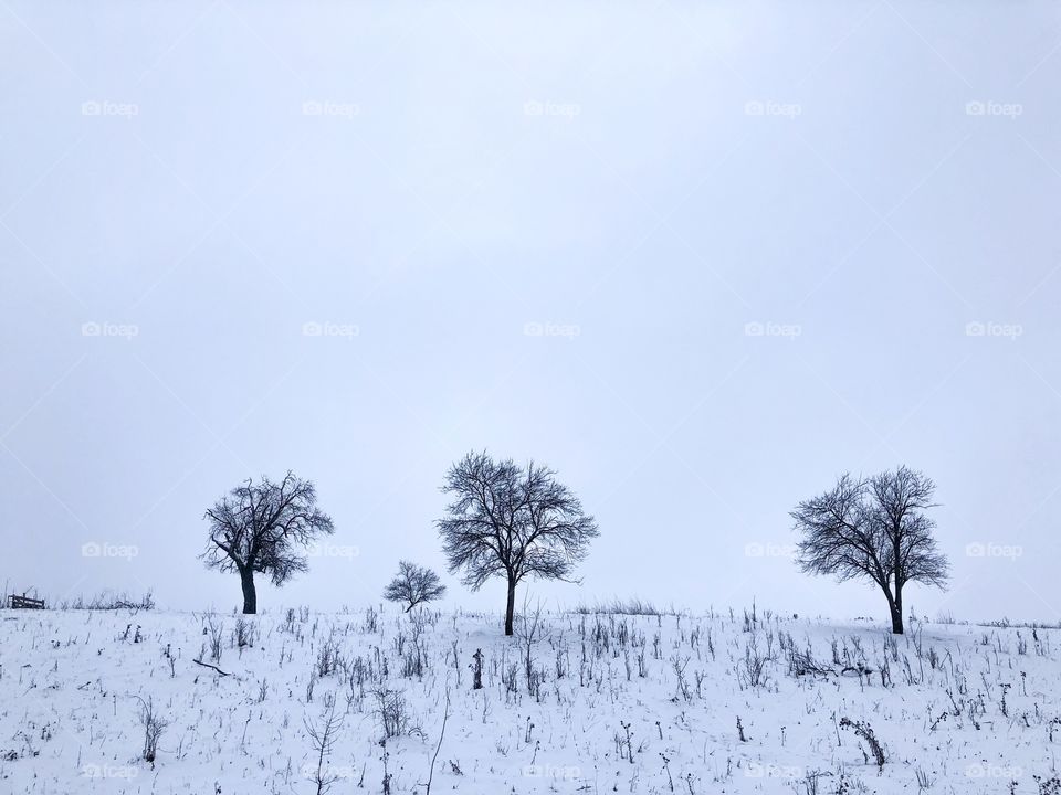 Winter minimal