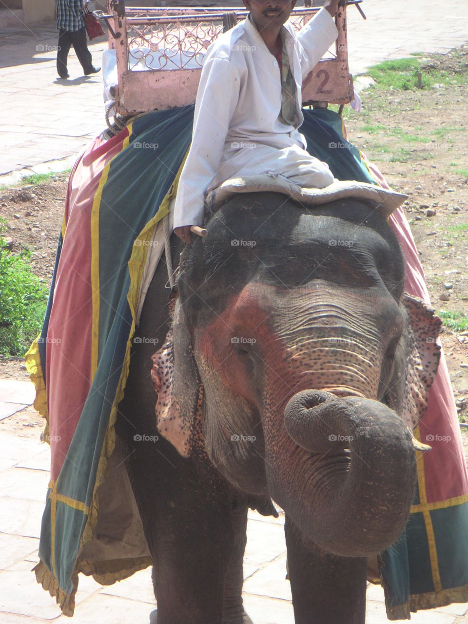 elephant and cornac in Amber India