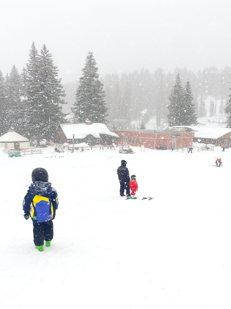 Baby skiers