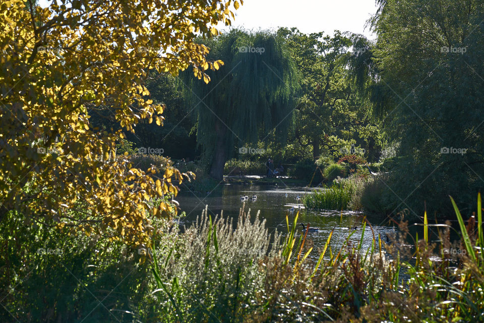 View of forest