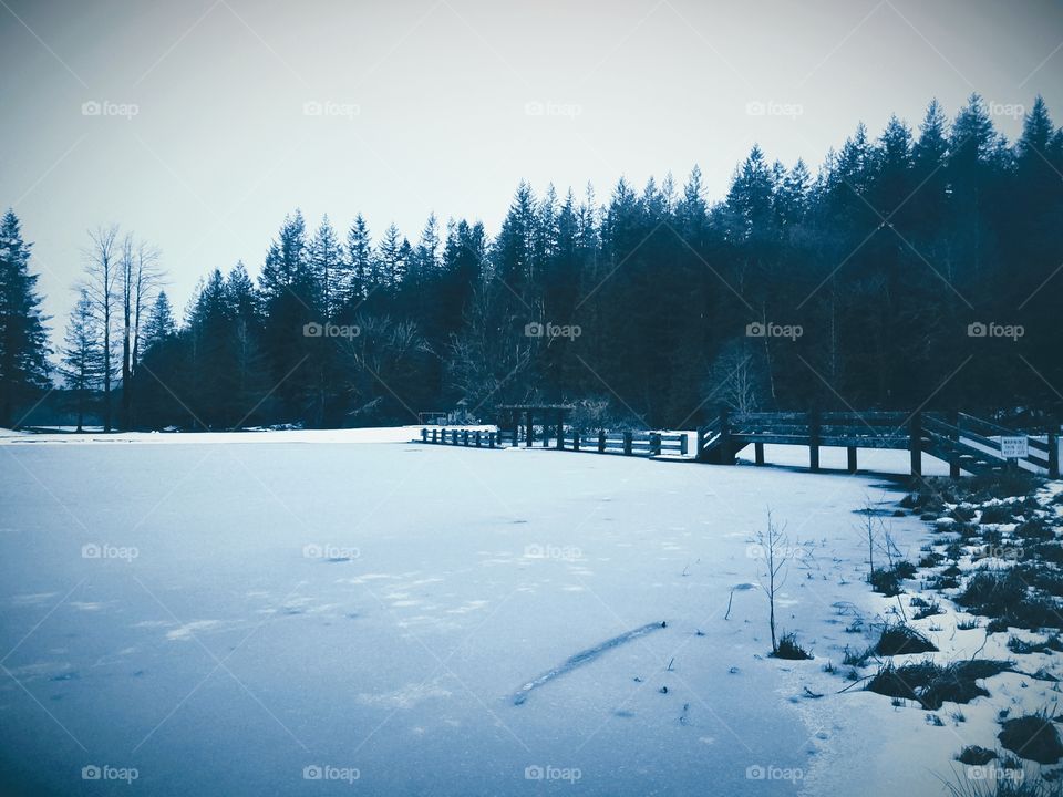 frozen silver lake Washington
