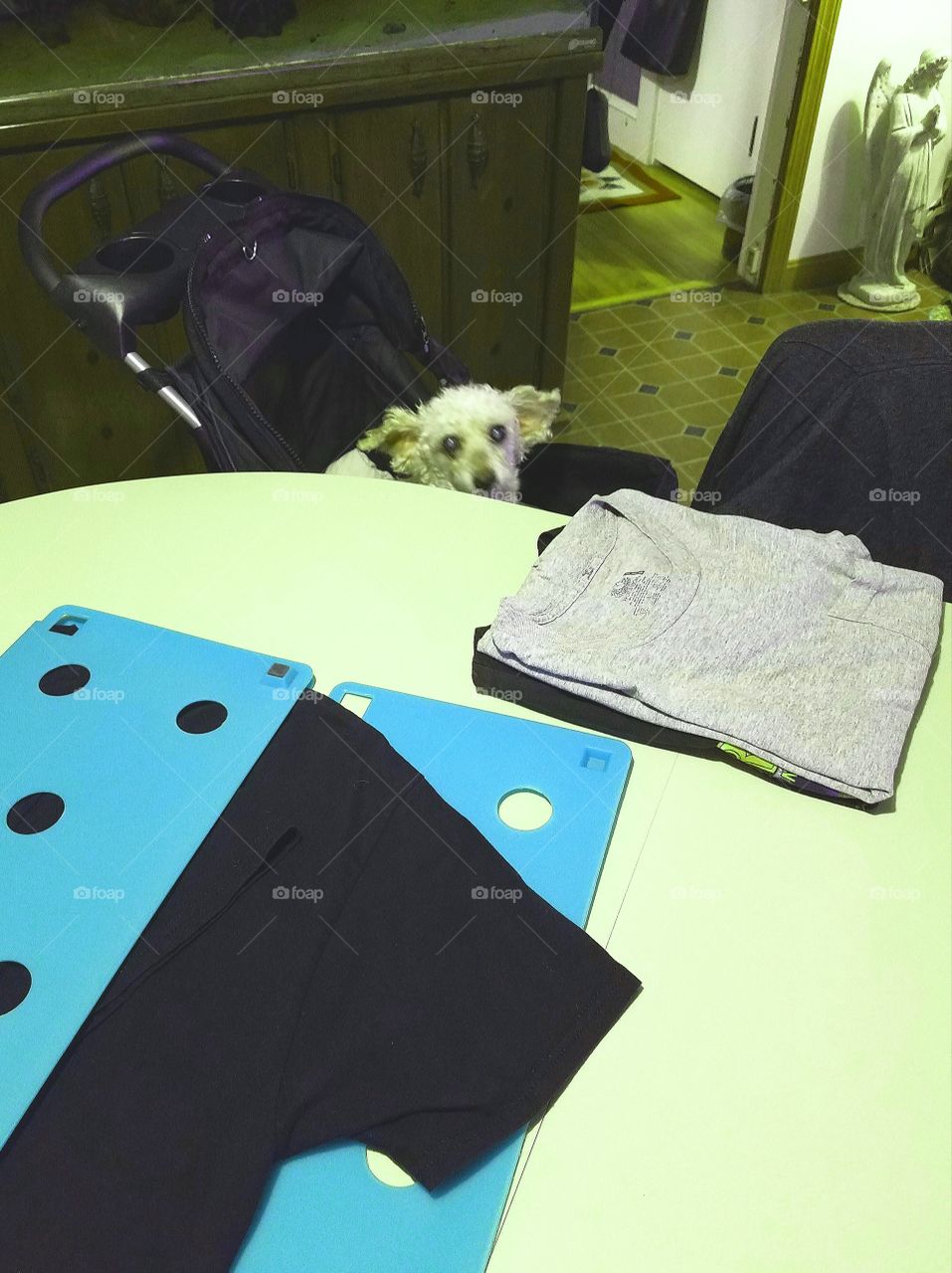Using Folding Board, doing tee shirts laundry with dog watching!